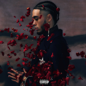 精品午夜福利视频
