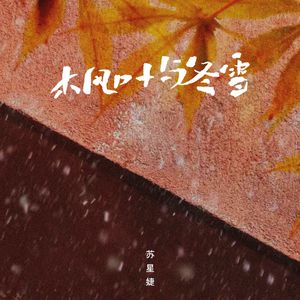 精品午夜福利视频
